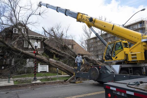 Crane operator Ricky Kapuschinsky, with AAA Crane, gets ready to lift uprooted trees on Capitol Avenue and 27th Street in midtown after a storm brought high winds overnight in Sacramento, Calif., on Sunday, Jan. 8, 2023.