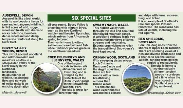 six special sites