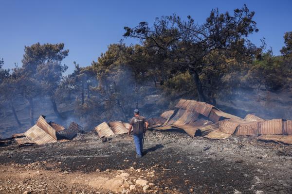 Farmer loses his sheepfold twice from wildfires in the region of Evros in two years